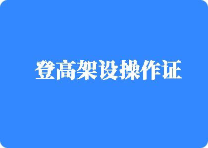 www.操逼网站.cncom登高架设操作证